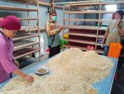 Strategi UMKM Memperluas Jaringan Bisnis Lewat Kolaborasi Dengan Partner Terpercaya