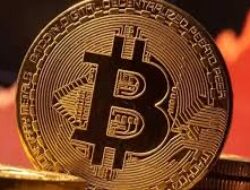 Cara Memahami Plasma Chains dan Fungsinya dalam Infrastruktur Blockchain Cryptocurrency Modern